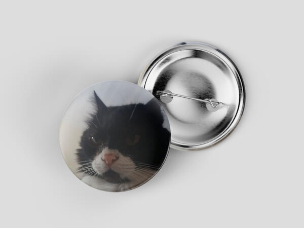 Pets